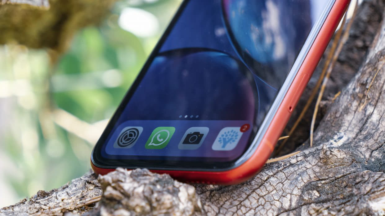 iPhone XR став найпопулярнішим смартфоном у світі в 2019 році