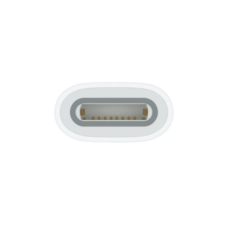 Адаптер USB-C to Apple Pencil Adapter (MQLU3)