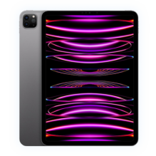 Apple iPad Pro 12.9" 2022 M2, 256GB, Space Gray, Wi-Fi (MNXR3) бу