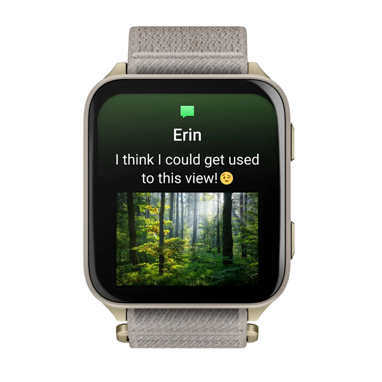 Garmin Venu X1 Soft Gold with Titanium Caseback and French Gray Nylon Band (010-02980-08/09)