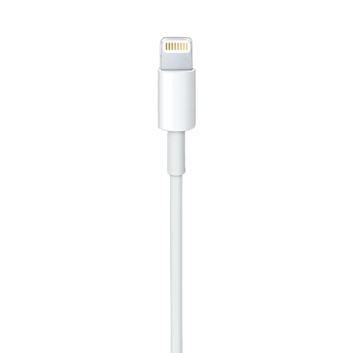 Кабель Apple Lightning to USB Cable 0,5m (ME291)