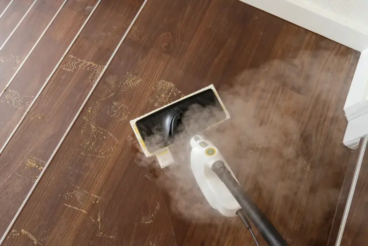 Пароочиститель Karcher SC 1 Multi & Up (1.516-410.0) (EU)
