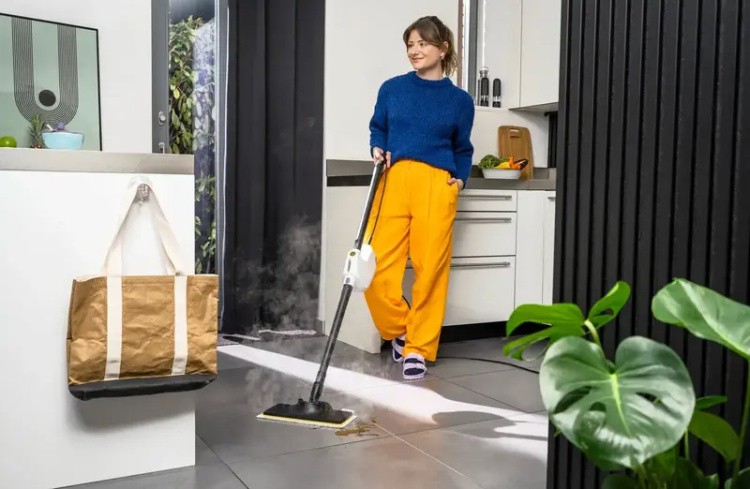 Пароочиститель Karcher SC 1 Multi & Up (1.516-410.0) (EU)