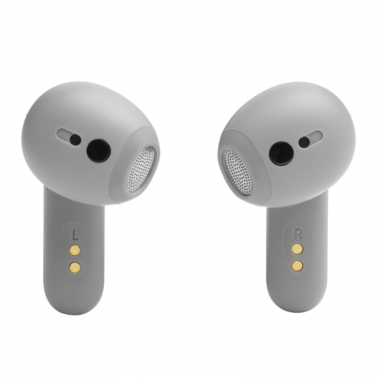 Навушники JBL Live Flex Silver (JBLLIVEFLEXSVR) 