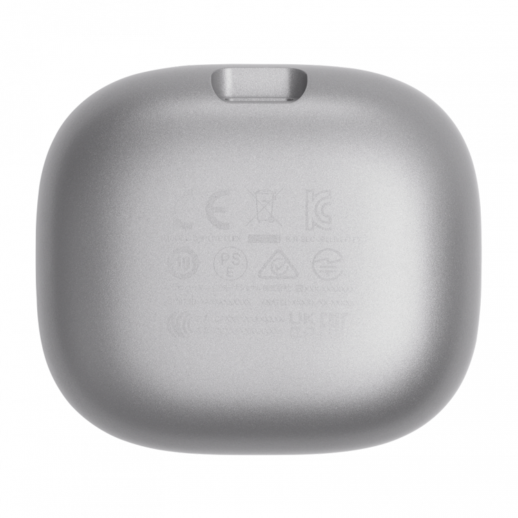 Навушники JBL Live Flex Silver (JBLLIVEFLEXSVR) 