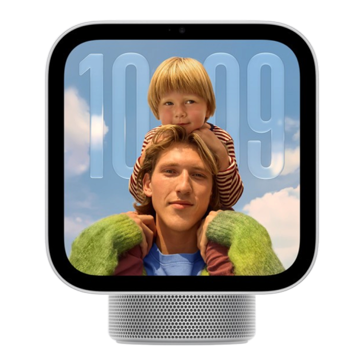Apple HomeView (Silver)