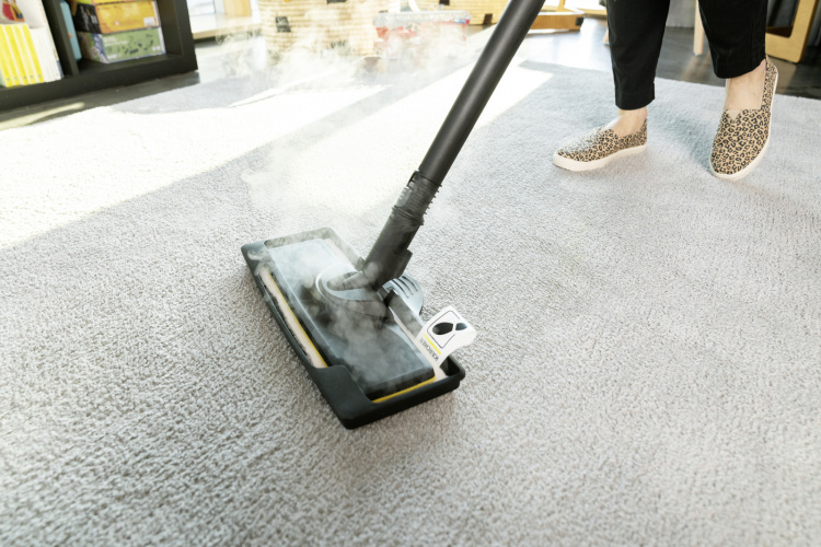 Пароочиститель Karcher SC 3 EasyFix Plus (1.513-661.0) (EU)