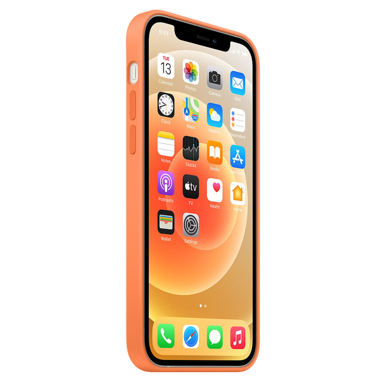 Чехол Silicone Case для iPhone 12/12 Pro (FoxConn) (Kumquat)