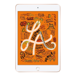 Apple iPad mini 5 Wi-Fi 256 Gold (MUU62) 2019 бу Apple iPad mini 5 Wi-Fi 256 Gold (MUU62) 2019 бу