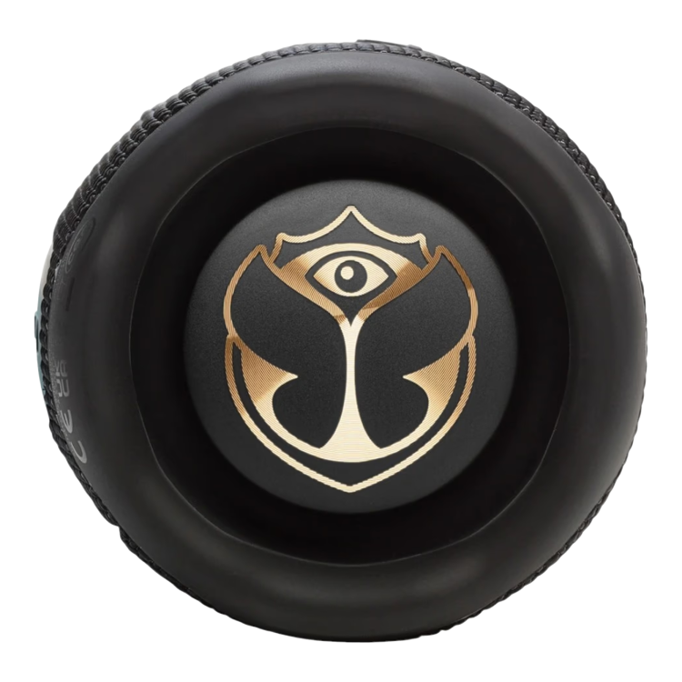 Акустика JBL Flip 7 Tomorrowland (JBLFLIP7TML)
