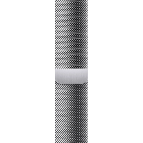 Apple Watch Series 9 GPS + LTE 41mm Silver Stainless Steel Case with Silver Milanese Loop (MRJ43)
