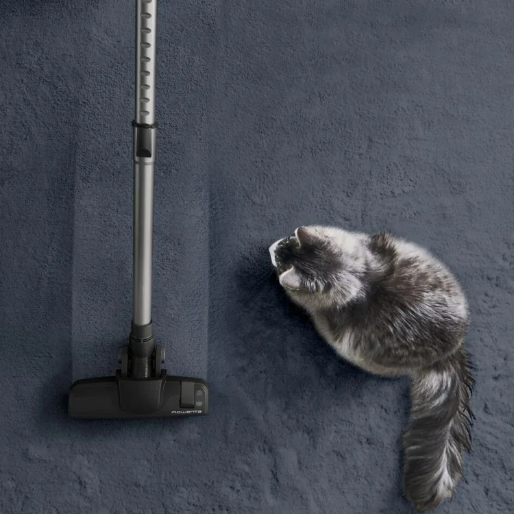 Пилосос безмішковий Rowenta Green Force Cyclonic RO7C66EA (UA)