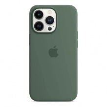 Чохол Silicone Case для iPhone 13 Pro Max (FoxConn) (Eucalyptos)