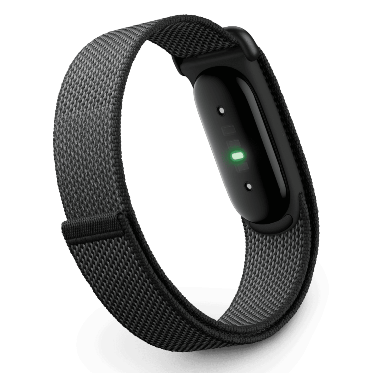 Фитнес-браслет Google Fitbit Air (Obsidian) Фитнес-браслет Google Fitbit Air (Obsidian)
