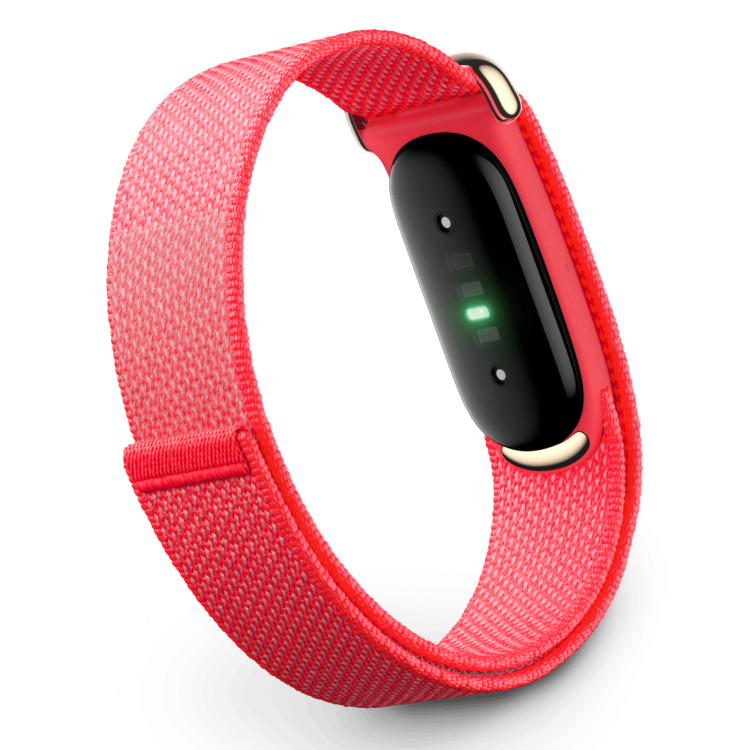 Фитнес-браслет Google Fitbit Air (Berry)
