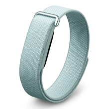 Фітнес-браслет Google Fitbit Air (Fog)