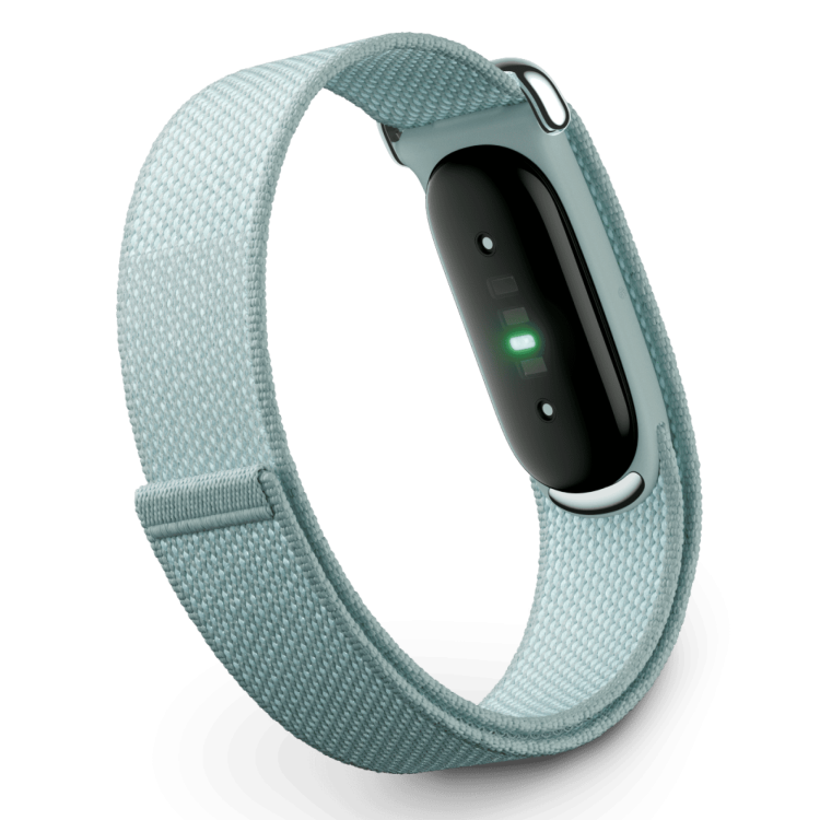 Фитнес-браслет Google Fitbit Air (Fog) Фитнес-браслет Google Fitbit Air (Fog)