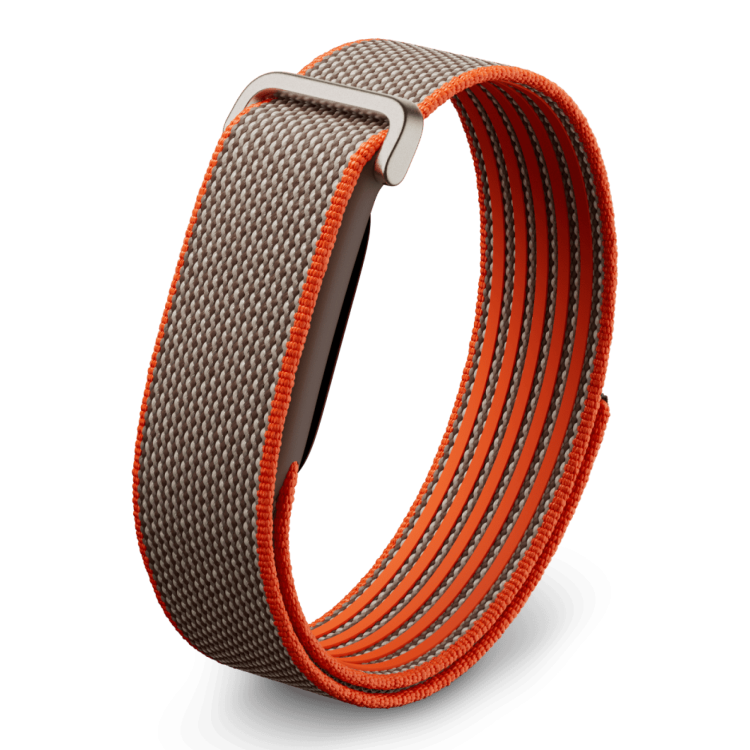 Фітнес-браслет Google Fitbit Air (Rye) Фітнес-браслет Google Fitbit Air (Rye)