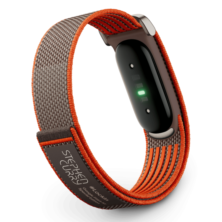 Фітнес-браслет Google Fitbit Air (Rye) Фітнес-браслет Google Fitbit Air (Rye)