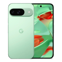 Google Pixel 9 12/128GB Wintergreen (G2YBB;GUR25) бу, 10/10