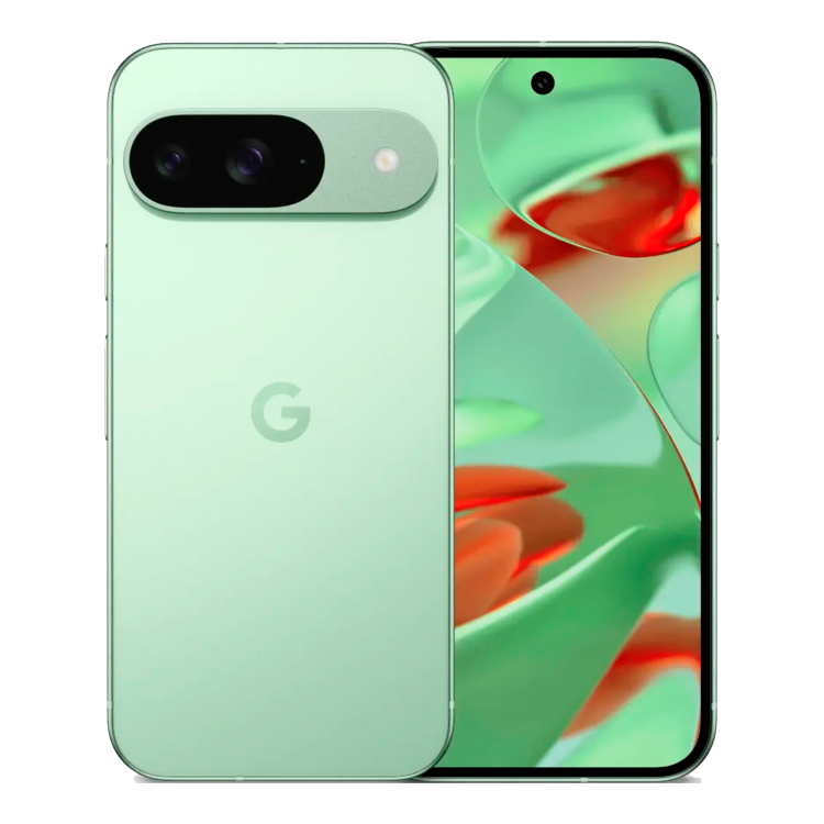 Смартфон Google Pixel 9 12/256GB Wintergreen (G2YBB;GUR25)