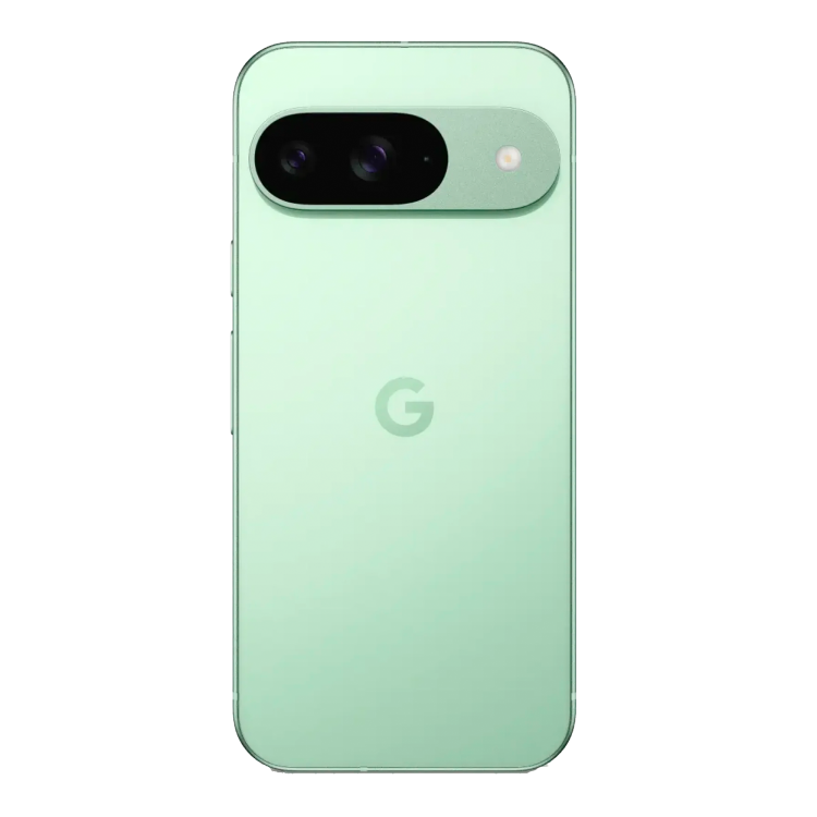 Смартфон Google Pixel 9 12/256GB Wintergreen (G2YBB;GUR25)