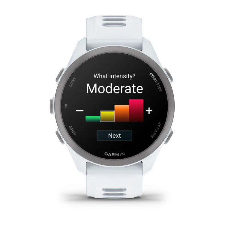 Garmin Forerunner 170 Whitestone with Whitestone/Cloud Blue Band (010-03920-01/31)