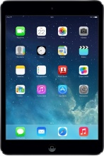 Apple iPad mini 2 with retina display 16Gb WiFi Gray 