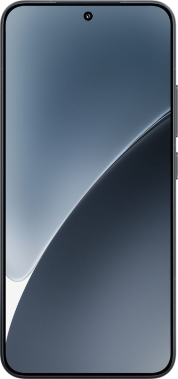Смартфон Xiaomi 15 12/256GB Black
