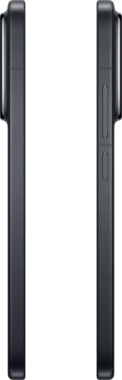 Смартфон Xiaomi 15 12/256GB Black
