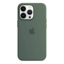 Silicone Case with MagSafe and Animation для iPhone 13 Pro (FoxConn) (Eucalyptos)