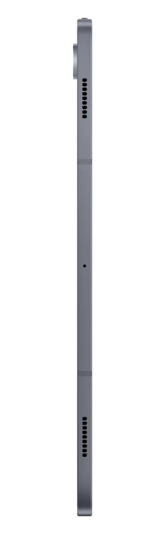Планшет Samsung Galaxy Tab S10 Plus 5G 12/256GB Moonstone Gray (SM-X826BZAREUC)