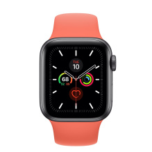  Apple Watch Series 5 GPS, 40mm Space Gray Aluminum Case with Clementine Sport Band 